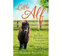 Little Alf: The true story of a pint-sized pony who found his forever home - [Version Originale] Hannah Russell (Auteur)