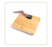 Little Balance Green Power Kinetic Premium - Balance - Bambou