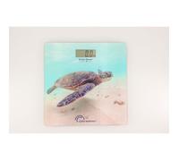 LITTLE BALANCE 8653 Motif tortue verte Pèse-personne électronique USB Rechargeab