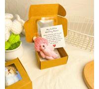 Little Bear in Box, Handmade Mini Plush Bear in Box with Mini Plush Bear with Inspirational Card, Sympathy Gift for Christmas and Valentine's Day & Mother's Day (Pink)