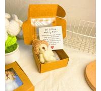 Little Bear in Box, Handmade Mini Plush Teddy Bear in Box, Handmade Mini Plush with Inspirational Card and, Emotional Uplifting Support Pocket Hug Animal Positive Gifts (White)