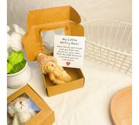 Little Bear in Box, Handmade Mini Plush Teddy Bear in Box, Handmade Mini Plush with Inspirational Card and, Emotional Uplifting Support Pocket Hug Animal Positive Gifts (Brown)