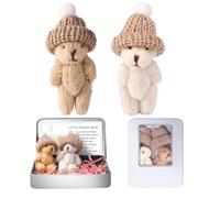 Little Bear in Box,Mini Teddy Bear in Box, Pocket Bear - avec Carte d'Inspiration, Peluche de Soutien Émotionnel, Cadeau Positif pour Noël, Fête des Mères, Saint-Valentin (Deux Ours en Peluche)