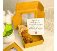Little Bear in Box, Petit Ours en Peluche dans Une Boîte, Cadeau Réconfortant Fait Main avec Carte Inspirante, Peluche Miniature Mignonne pour Ami, Départ, Confiance ou Soutien(Coffee)
