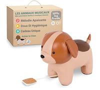 Little Big Friends Jouet Musical bébé | Peluche Musicale à Ficelle à Tirer | Jouet d’éveil Doux et Lavable dès la Naissance | Cadeau Naissance garçon ou Fille | Adrien Le Chien