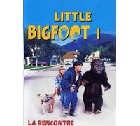Little Bigfoot, Vol. 1