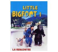 Little Bigfoot, Vol. 1