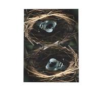 Little Bird Nest Carte de vœux vierge avec enveloppe, 10 x 15 cm, pour événements, mariages, anniversaires