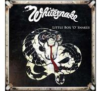 Little Box O Snakes : The Sunburst Years 1978-1982