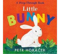 Little Bunny by Petr Horacek Petr Horacek (Auteur)