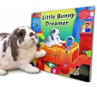 Little Bunny Dreamer - Rhyming Children's Book - Bini the Bunny
