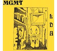 Little Dark Age Vinyle 180 gr Gatefold Inclus coupon MP3 E