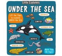 Little Explorers Under the Sea by Little Bee Books Little Bee Books (Auteur)