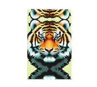 Little Fat Tiger - Torchon de cuisine gaufré à séchage rapide, ultra absorbants pour nettoyer les chiffons de barista