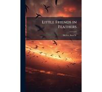 Little Friends in Feathers