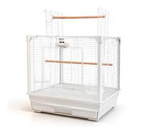 Little Friends Treetop Cage à Oiseaux pour perruches, canaris et pinsons - Cage Blanche avec Ouverture sur Le Dessus avec perchoir en Bois et Porte d'entrée, 47 x 47 x 63 cm