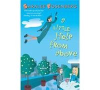 Little Help from Above by Saralee H. Rosenberg Saralee Rosenberg (Auteur)