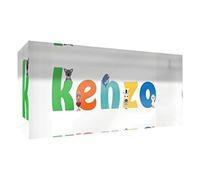 Little Helper Souvenir Décoratif en Acrylique Transparent Poli comme Diamant Style Illustratif Coloré avec le Nom de Jeune Garçon Kenzo 5 x 21 x 2 cm Grand