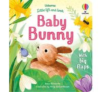 Anna Milbourne – Little Lift and Look Baby Bunny – Usborne