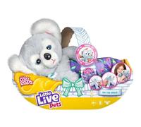 Little Live - 26233 - Koala Cozy Dozy