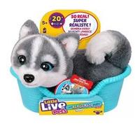 Little Live Pets Aurora le Husky G