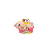 Little Live Pets Buddy le labrador
