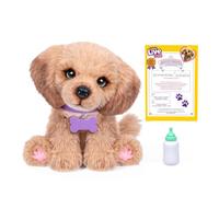 Little Live Pets My Really Real Puppy - Bailey, Peluche Interactive avec Plus de 60 Sons et réactions, 32,8 cm, Il cligne des Yeux, Mange et aboie comme Un Vrai Chiot, À partir de 4 Ans