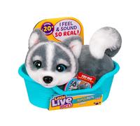 Little Live Pets My Really Real Puppy Minis - Aurora la Husky, Chiot interactif avec + de 20 Sons et réactions, Inclut Un Panier pour Exposer Ton Chiot, Cadeau Amusant et Mignon pour Enfants, 11 cm