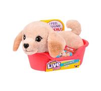 Little Live Pets – Chiot interactif Buddy le Labrador – +20 sons et réactions – Panier – 11 cm