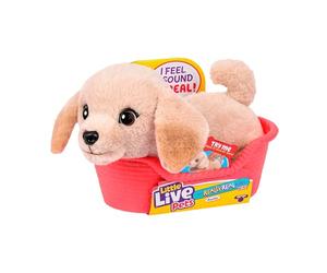 Little Live Pets My Really Real Puppy Minis - Buddy le labrador, Chiot interactif avec + de 20 sons et réactions, Inclut un panier pour exposer ton chiot, cadeau amusant et mignon pour enfants, 11 cm