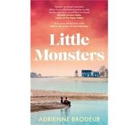 Little Monsters: PERFECT FOR FANS OF FLEISHMAN IS IN TROUBLE AND THE PAPER PALACE