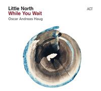 LITTLE NORTH - WHILE YOU WAIT (180G BLACK VINYL) VINYL LP + MP3 NEUF