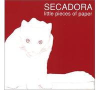 Little Pieces of Paper