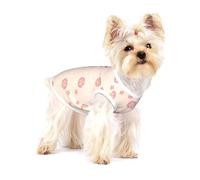 Little Pink Cherry Blossoms T-shirt extensible pour chien, doux, frais et sans manches à rayures - Vêtements respirants pour chiot, chaton, chat de taille S