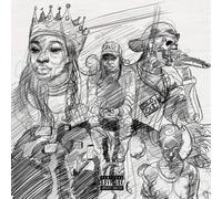 Little Simz - A Curious Tale of Trials + Persons - Vinyle 12" - Import (The Orchard)