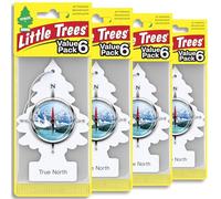 LITTLE TREES Lot de 6 désodorisants pour voiture - Arbre suspendu - Parfum longue durée pour voiture ou maison - I True North