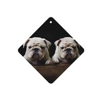 Little White Bulldog Lot de 4 désodorisants de voiture durables pour homme et femme - Tablettes d'aromathérapie à suspendre - Parfum lavande