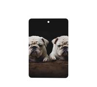 Little White Bulldog Lot de 4 désodorisants de voiture durables pour homme et femme - Tablettes d'aromathérapie à suspendre - Parfum lavande