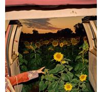 Little Wide Open CD