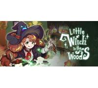 Little Witch in the Woods (PC)