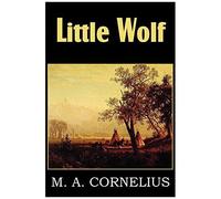 Little Wolf, A Tale Of The Western Frontier
