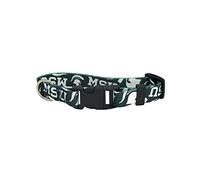 Littlearth NCAA Team Pet Collier, Green
