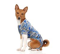 Littlearth NFL Detroit Lions Pyjama pour animal domestique, couleur de l'équipe, taille XS