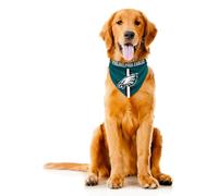 Littlearth NFL Team Bandana pour Chien, Green