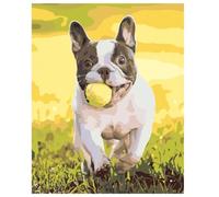 Lituor Peinture Numero Adulte,Chien qui joue Peinture par Numéros Kits,avec Cadre Bricolage Peinture à l'huile sur Toile pour Adultes Enfants Paint by Numbers Cadeaux pour Maison Décoration 40x50cm