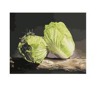 Lituor Peinture Numero Adulte,Légumes Peinture par Numéros Kits,avec Cadre Bricolage Peinture à l'huile sur Toile Numéros pour Adultes Enfants Paint by Numbers Cadeaux pour Maison Décor 40x50 cm