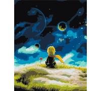 Lituor Peinture par Numero Adulte,Petit Prince DIY Acryliques Peinture Numero Kit de Peinture à l'huile sur Toile avec Brosses et Peintures Acryliques Cadeau pour Mur de Maison(avec Cadre) 40x50cm