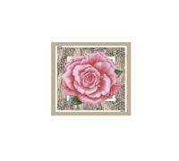 Liu Jo Écharpe '2A6053 T2745' beige / vert / rosé, Taille One Size