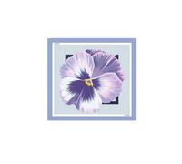 Liu Jo Écharpe '2A6053 T2745' bleu clair / orchidée / blanc, Taille One Size