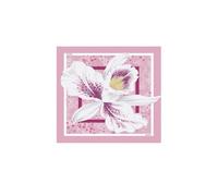 Liu Jo Foulard avec imprimé floral, orchidée, 70 x 70 cm, 100 % polyester, Art. 2A6053 T2745